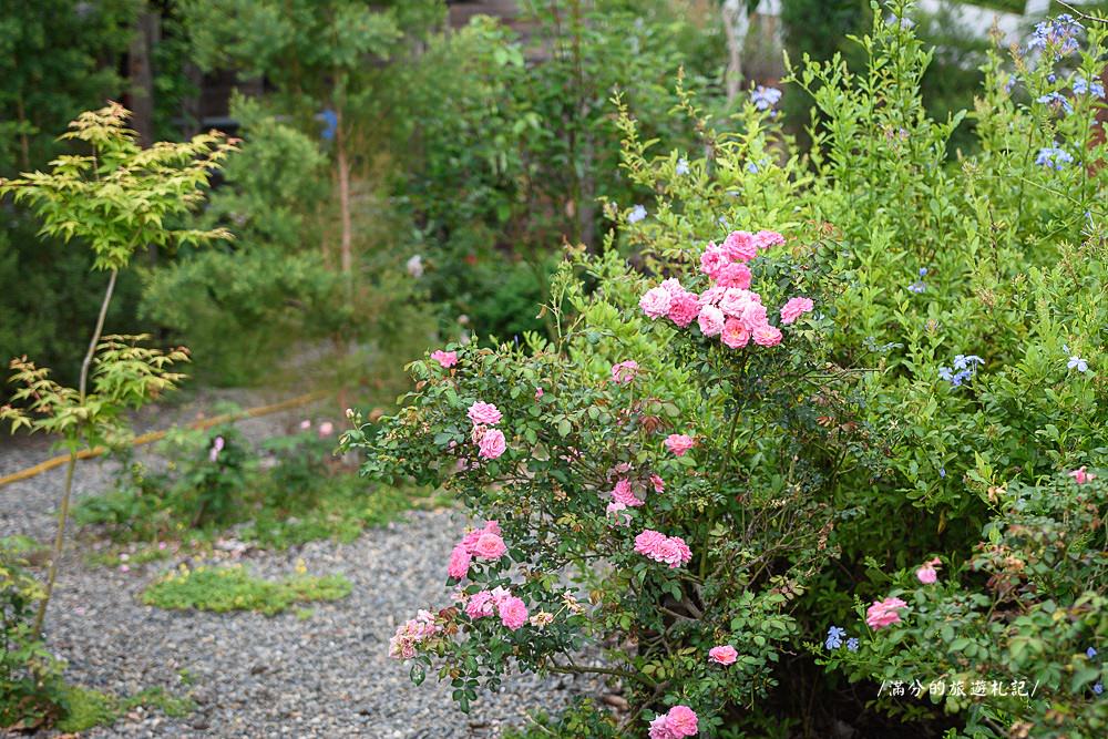 南投市景點》29號花園 南投139縣道景觀咖啡廳 離天空最近的茶樹林園 - 滿分的旅遊札記
