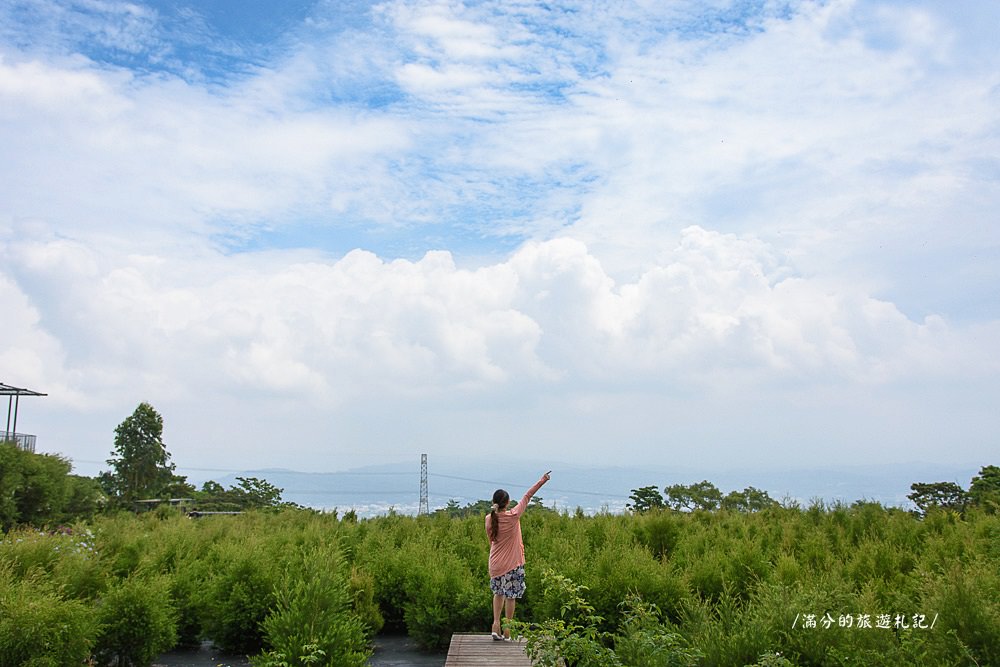 南投市景點》29號花園 南投139縣道景觀咖啡廳 離天空最近的茶樹林園 - 滿分的旅遊札記