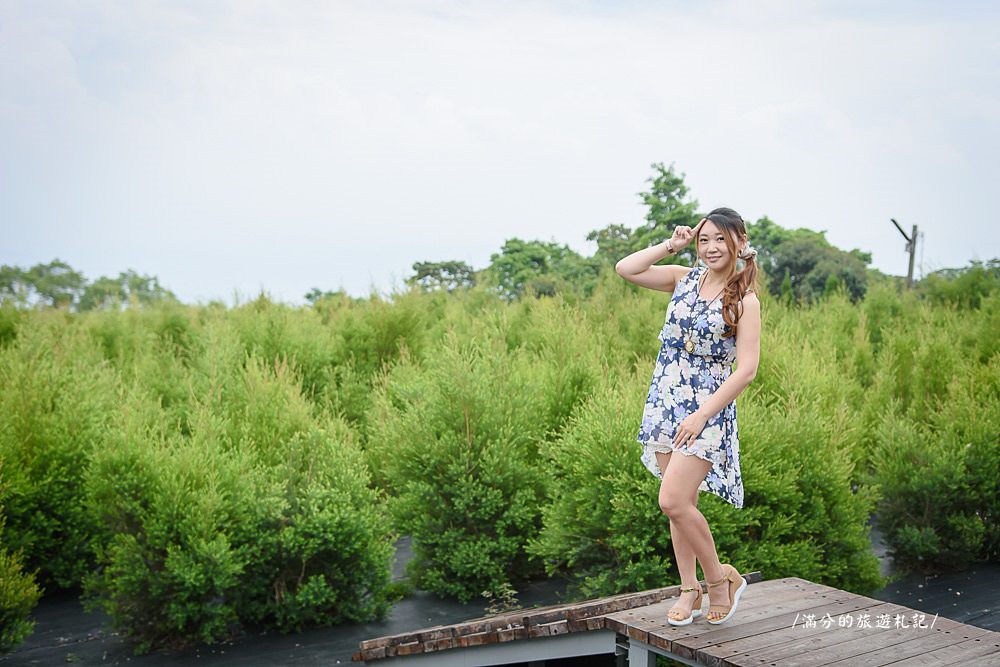 南投市景點》29號花園 南投139縣道景觀咖啡廳 離天空最近的茶樹林園 - 滿分的旅遊札記