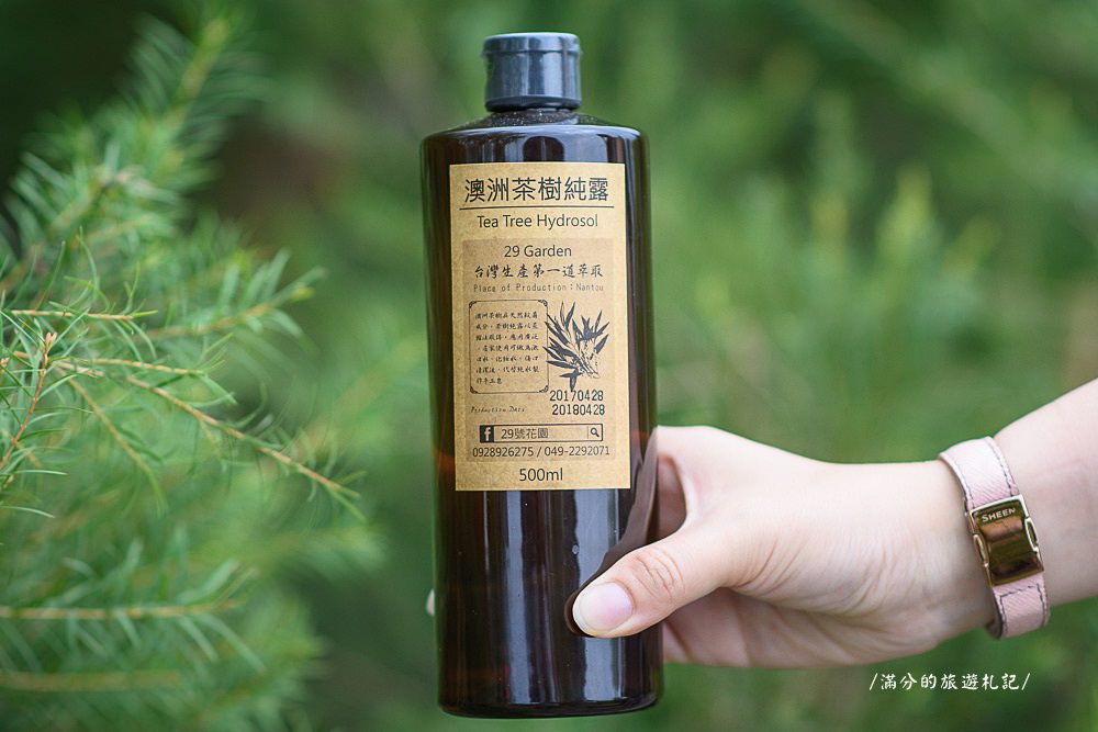 南投市景點》29號花園 南投139縣道景觀咖啡廳 離天空最近的茶樹林園 - 滿分的旅遊札記