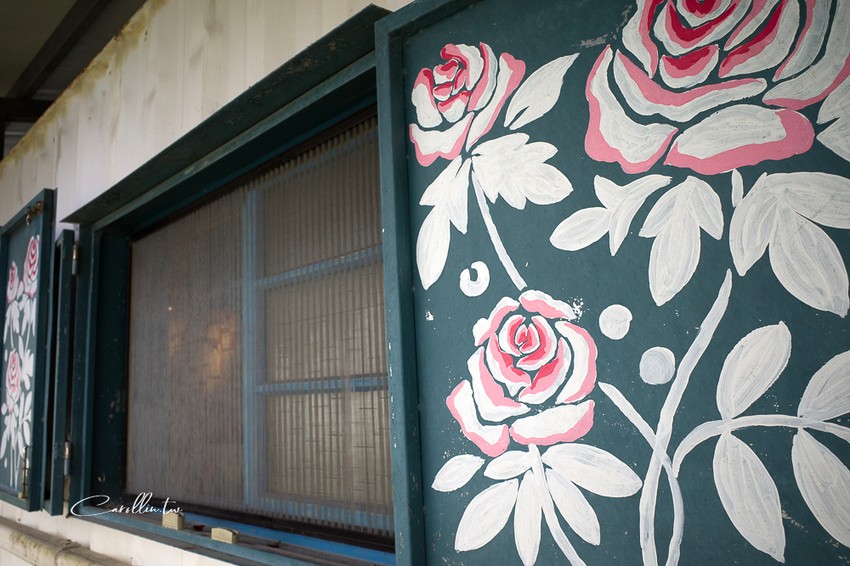 《花田小路》玫瑰田邊的澎湃水果鬆餅咖啡店 - 卡琳。摸魚兒趣