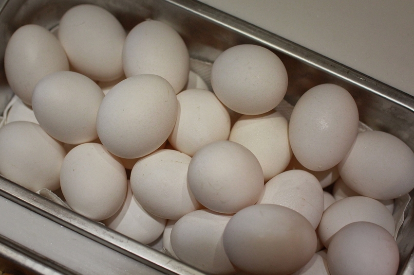 桃園鍋物吃到飽/中壢鬼椒麻辣王,三點蟹、天使蝦、安格斯黑牛、啤酒隨你吃喝到飽飽飽只要598元 - Ann‧榜哥‧生活事務所