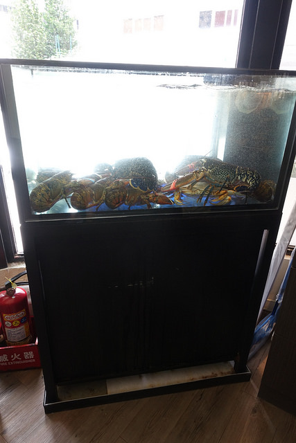 20170625小當家 (27)