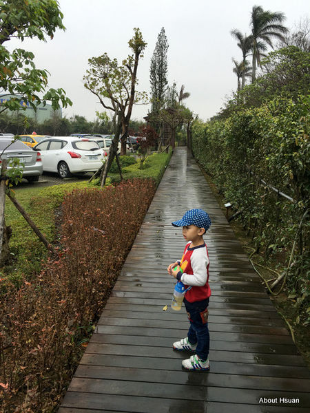 IMG_2810.JPG IMG_2810.JPG