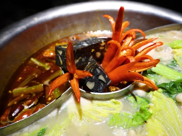 寬巷子信義店:【信義區捷運美食】寬巷子創意料理鍋品 顛覆傳統!一場兼具華麗視覺感官與味蕾的美食饗宴~