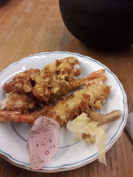 金子半之助:在人潮不洶湧之際來朝聖一下念念不忘的金子半之助