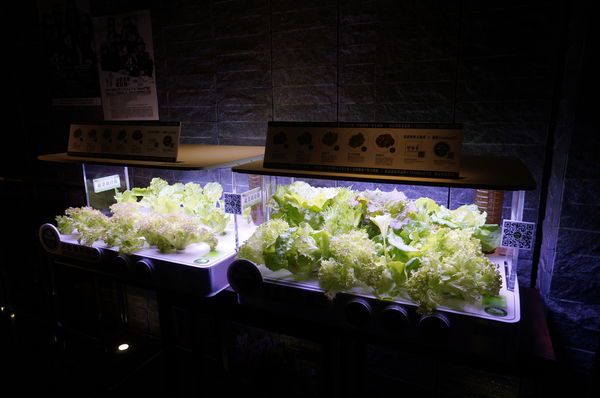 清潭洞韓式燒烤：清潭洞 ♥ 韓式燒烤 ♥ 台北東區 ♥ 試營運期間打卡85折 ♥ 有機會抽4MINTUE門票