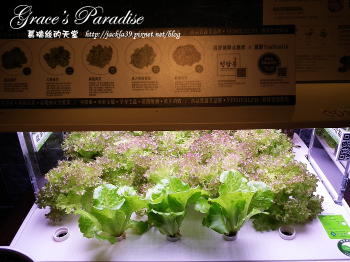 DSCF4561_nEO_IMG.jpg DSCF4561_nEO_IMG.jpg