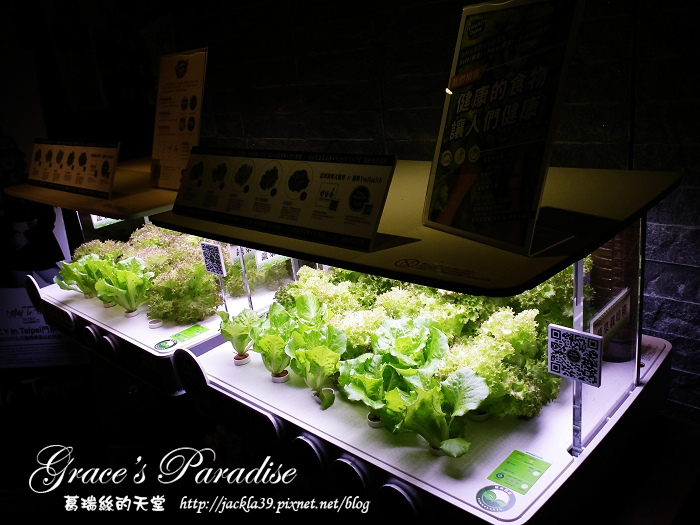 DSCF4560_nEO_IMG.jpg DSCF4560_nEO_IMG.jpg