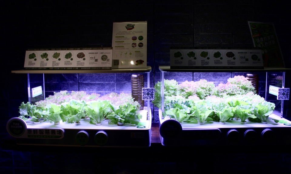 台北市東區:⟪清潭洞韓式燒烤 청담동⟫