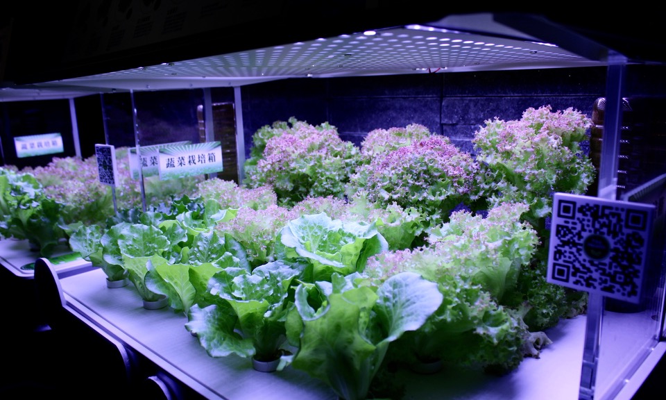 台北市東區:⟪清潭洞韓式燒烤 청담동⟫