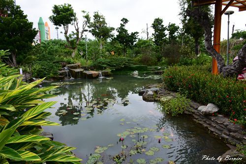 1026 1-一米特15.jpg