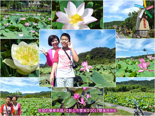 新北市雙溪-2017雙溪荷所在-all