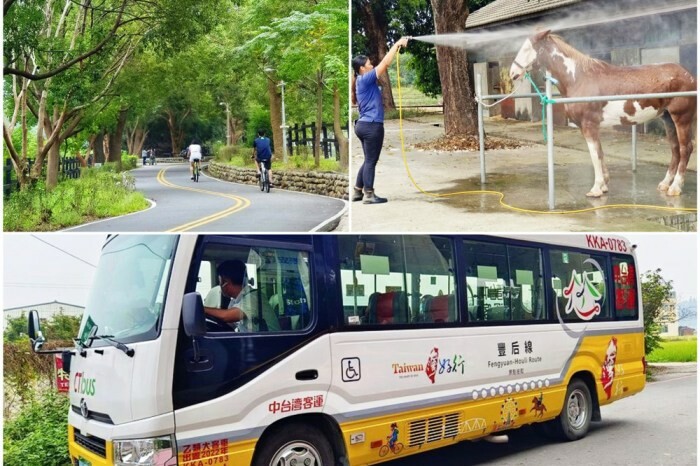 南投縣埔里鎮五月雪來了!精選台中苗栗南投4家賞桐渡假村和露營住宿泡湯大集合