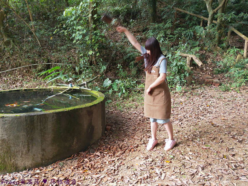 屏東童玩王國安坡部落.排灣族道地阿拜小米風味餐. 大自然森林教室DIY竹火祈福.DIY初魯克麻糬好有趣- Fresa芙芮莎♥莎旅憶食