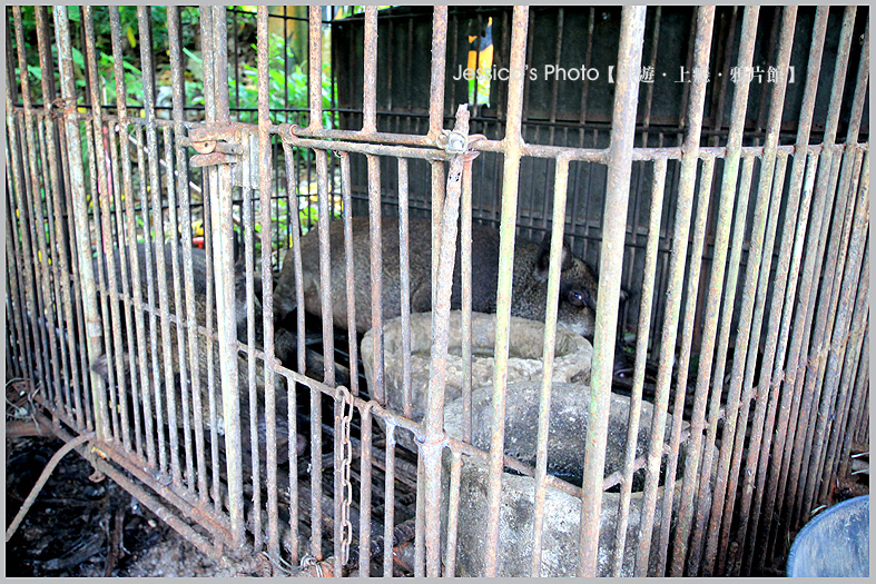 屏東三地門●安坡部落Djineljepan●排灣族聚落/童玩王國/裴勇俊部落教室