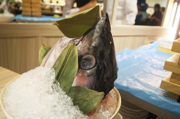 高雄 天晴迴轉壽司，精彩絕倫的鮪魚解體秀x頂級美味鮪魚大腹