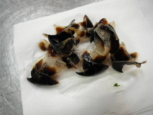 魷魚興嘴吃嘴魷魚羮：【雲林||斗六】魷魚興魷魚嘴羹──邊吃邊吐殼，斗六在地人吃的特色小吃