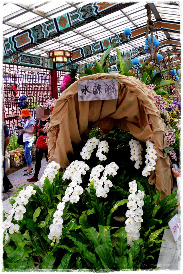 2015士林官邸菊展 嬉遊秋菊 2015士林官邸菊展 嬉遊秋菊