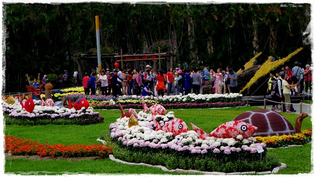 2015士林官邸菊展 嬉遊秋菊 2015士林官邸菊展 嬉遊秋菊