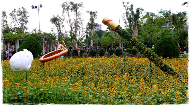 2015士林官邸菊展 嬉遊秋菊 2015士林官邸菊展 嬉遊秋菊