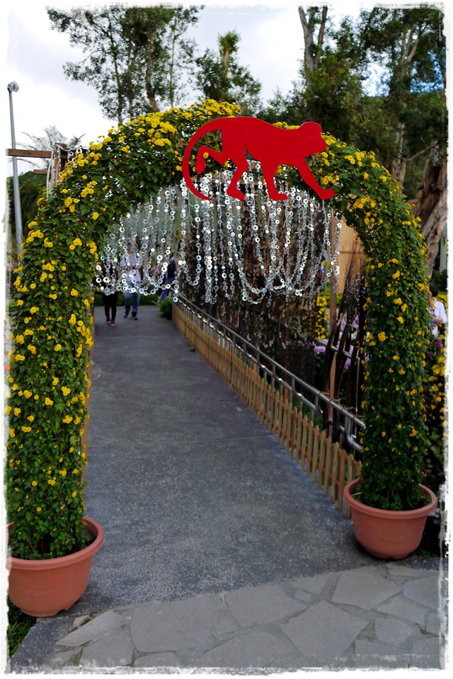 2015士林官邸菊展 嬉遊秋菊 2015士林官邸菊展 嬉遊秋菊