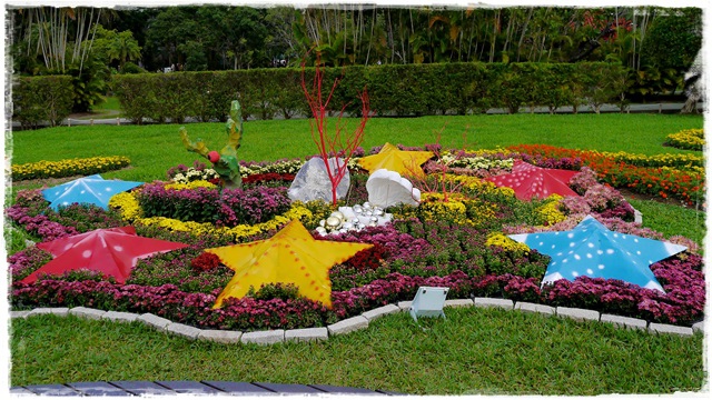 2015士林官邸菊展 嬉遊秋菊 2015士林官邸菊展 嬉遊秋菊