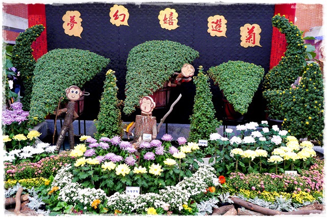 2015士林官邸菊展 嬉遊秋菊 2015士林官邸菊展 嬉遊秋菊