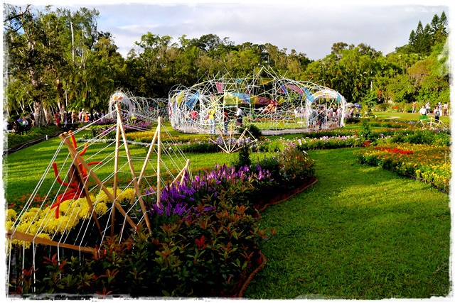 2015士林官邸菊展 嬉遊秋菊 2015士林官邸菊展 嬉遊秋菊