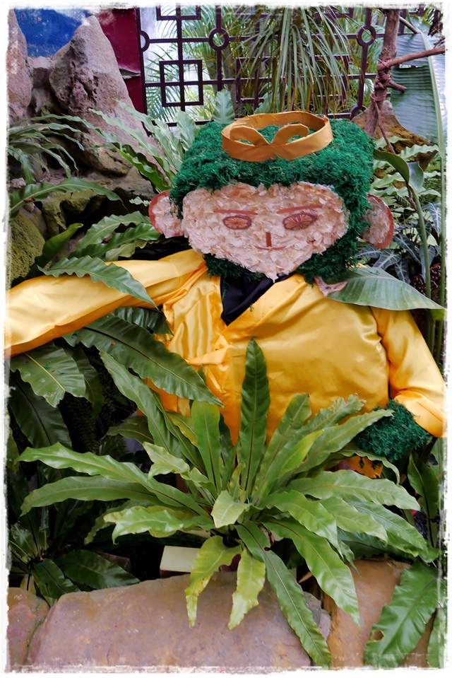 2015士林官邸菊展 嬉遊秋菊 2015士林官邸菊展 嬉遊秋菊