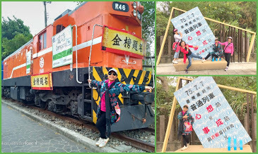 苗栗爆紅景點-再訪[功維敘隧道]七彩霓虹.美不勝收