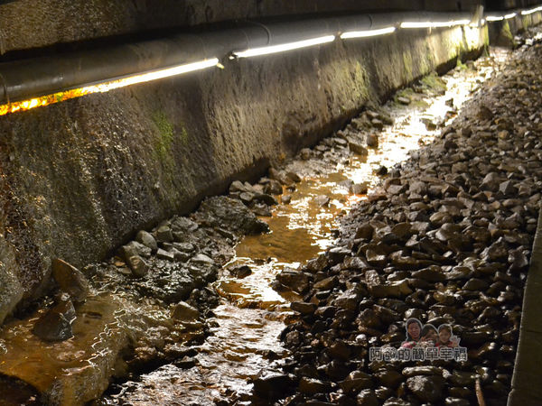功維敘隧道22-滲入的地下水有如涓涓小溪