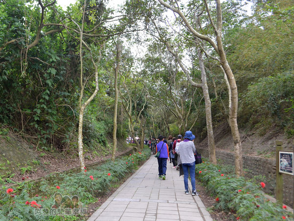 功維敘隧道35-山林小徑