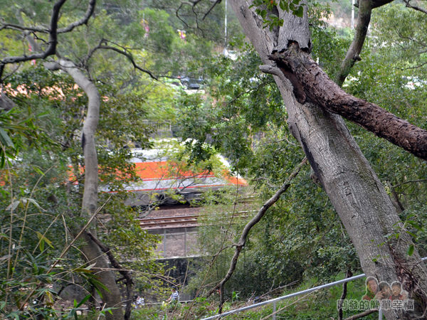 功維敘隧道09-看到火車與鐵軌了
