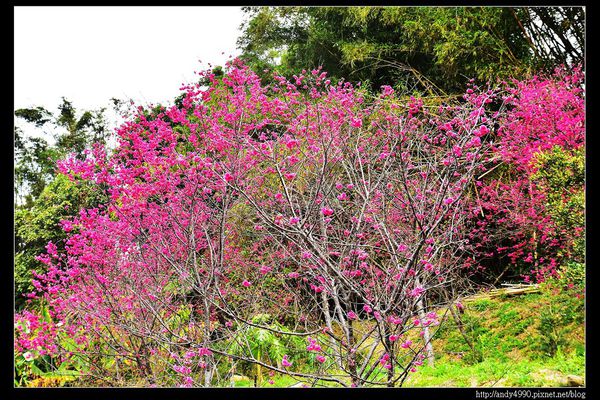20160306苗栗功維敘隧道6
