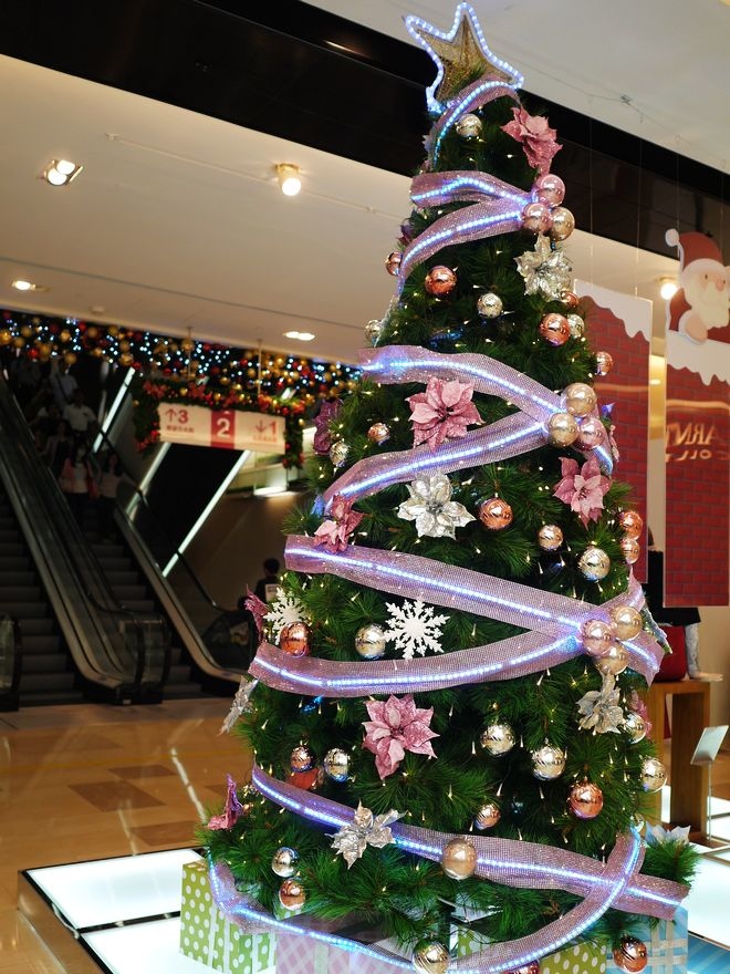 P2330233.jpg P2330233.jpg