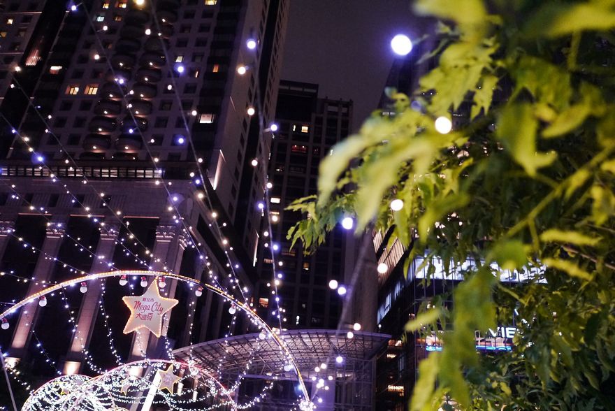 P2330218.jpg P2330218.jpg