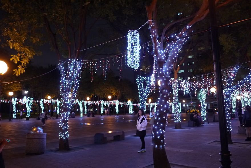 P2330093.jpg P2330093.jpg