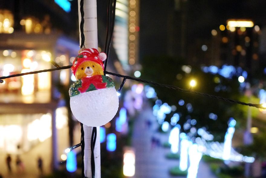 P2330225.jpg P2330225.jpg