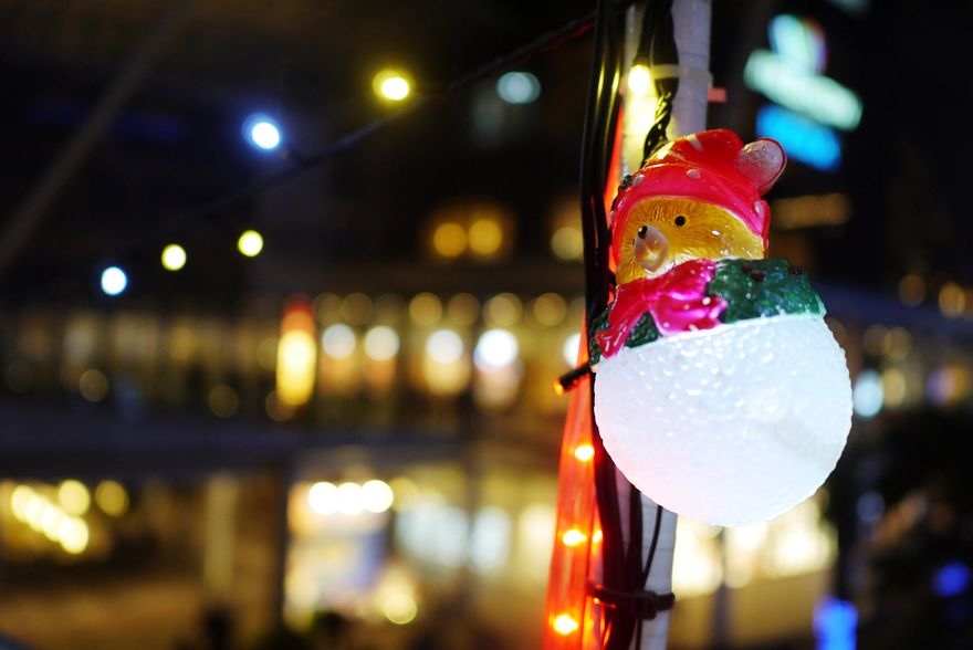 P2330224.jpg P2330224.jpg