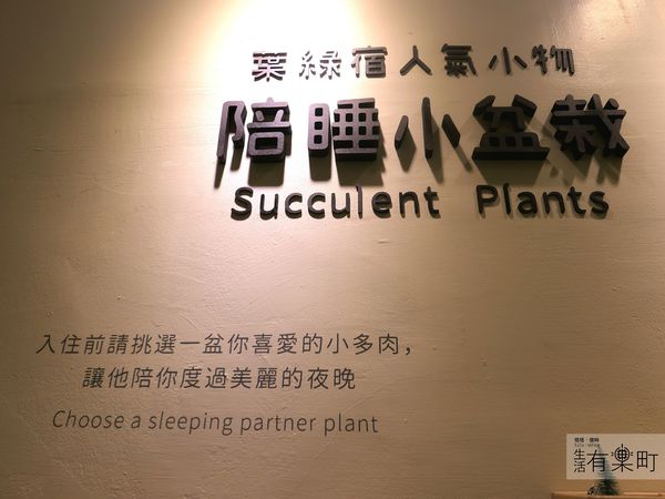 【台中住宿】葉綠宿：CP值高平價環保旅館，陪睡小盆栽一夜好眠；逢甲住宿推薦首選，近逢甲夜市