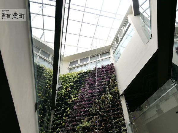 【台中住宿】葉綠宿：CP值高平價環保旅館，陪睡小盆栽一夜好眠；逢甲住宿推薦首選，近逢甲夜市