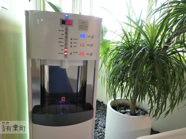 【台中住宿】葉綠宿：CP值高平價環保旅館，陪睡小盆栽一夜好眠；逢甲住宿推薦首選，近逢甲夜市