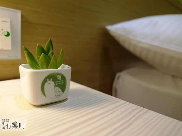【台中住宿】葉綠宿：CP值高平價環保旅館，陪睡小盆栽一夜好眠；逢甲住宿推薦首選，近逢甲夜市