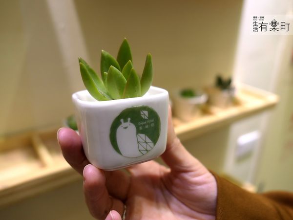 【台中住宿】葉綠宿：CP值高平價環保旅館，陪睡小盆栽一夜好眠；逢甲住宿推薦首選，近逢甲夜市