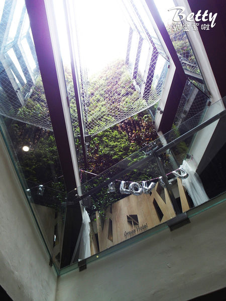 20171020葉綠宿 (39).jpg