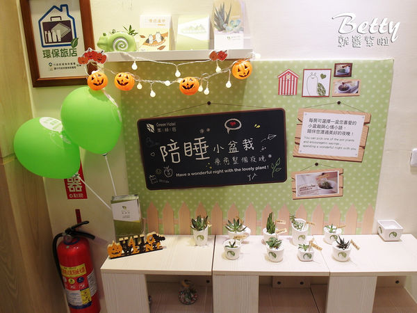 20171020葉綠宿 (37).jpg