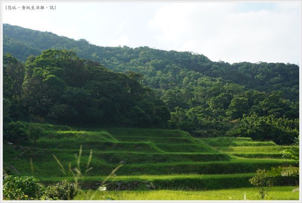 新北石門嵩山-11-百年梯田.JPG