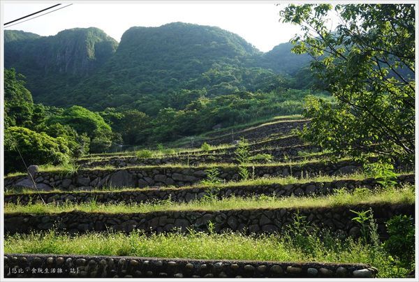 新北石門嵩山-3-百年梯田.JPG