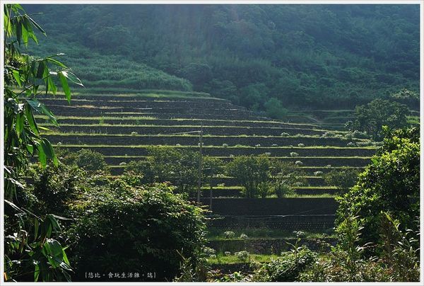 新北石門嵩山-4-百年梯田.JPG